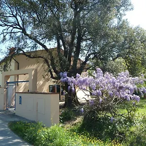Al Vecchio Leccio Casa di campagna